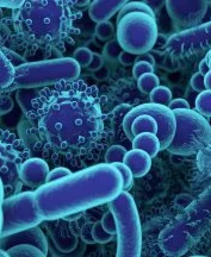 Microbiota 2
